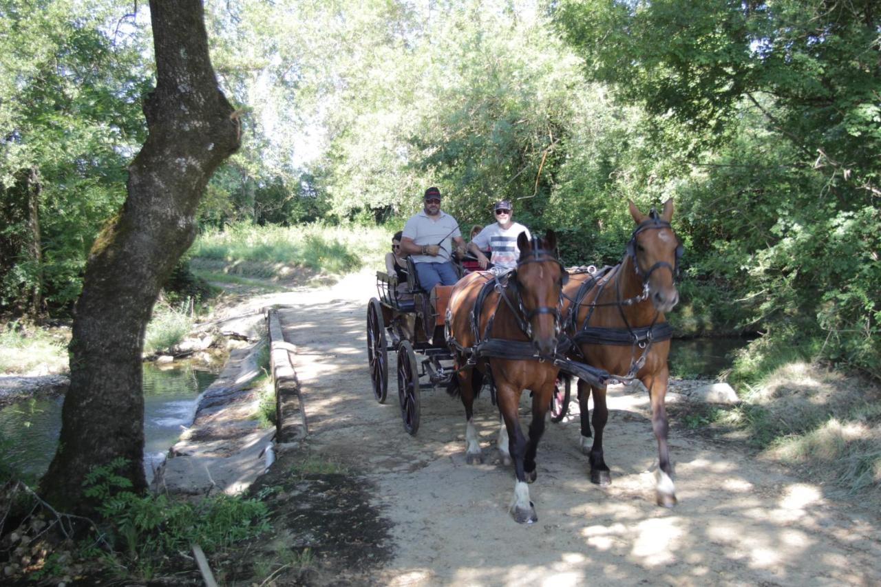 Le Mas De La Coste Saint-Sauveur-de-Cruzieres Экстерьер фото