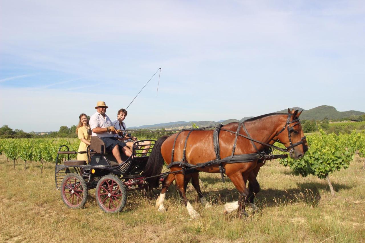 Le Mas De La Coste Saint-Sauveur-de-Cruzieres Экстерьер фото